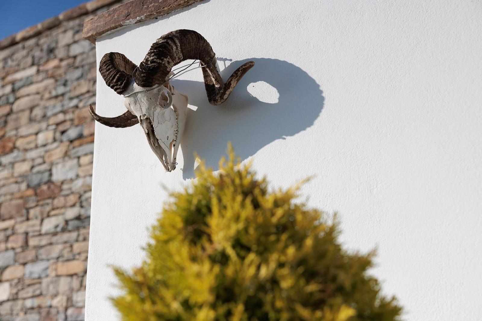 Villa Papa Glinado Naxos 外观 照片